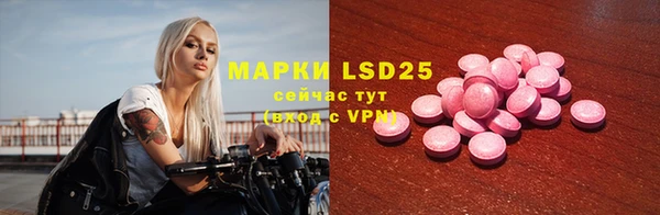 PSILOCYBIN Абаза