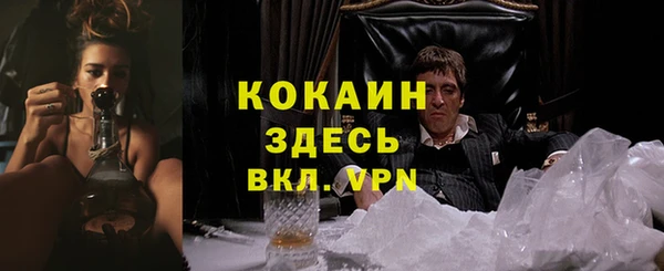 PSILOCYBIN Абаза