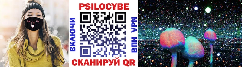 Псилоцибиновые грибы Psilocybine cubensis Ряжск